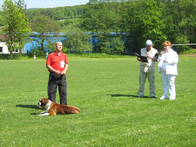 www.atibox.net * www.euroboxer.eu * www.boxergenealogia.eu